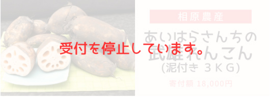 れんこん3KG